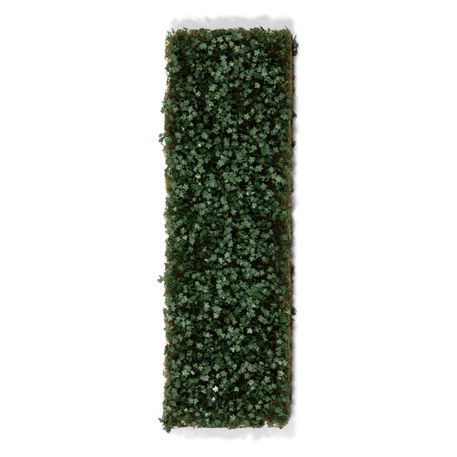 Main Image Ivy Foilage