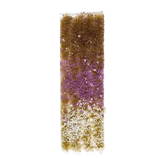 Main Image Blossom Tufts Fall