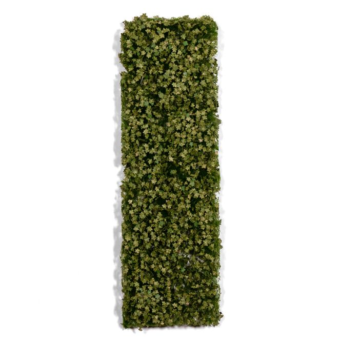 Main Image Platane Foliage Summer