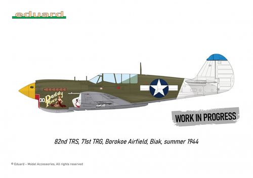 Eduard 1:48 - P-40N WARHAWK ROYAL CLASS DUAL COMBO (R0025)
