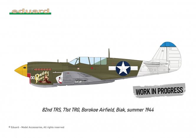 Hovedbilde Eduard 1:48 - P-40N WARHAWK ROYAL CLASS DUAL ...