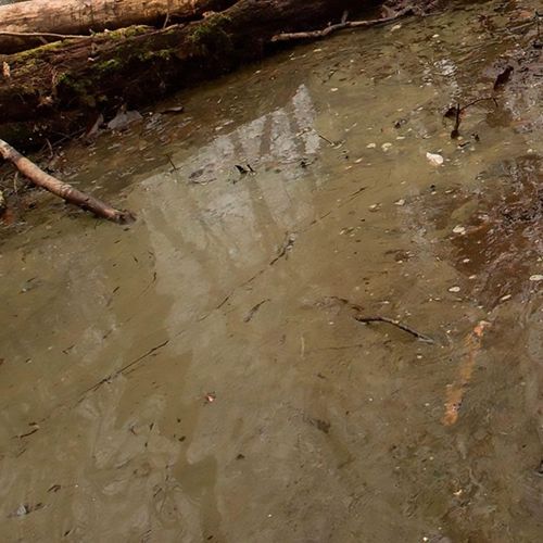 AK-Interactive Water Gel Swamp Green Acrylic, 250ml (8006)