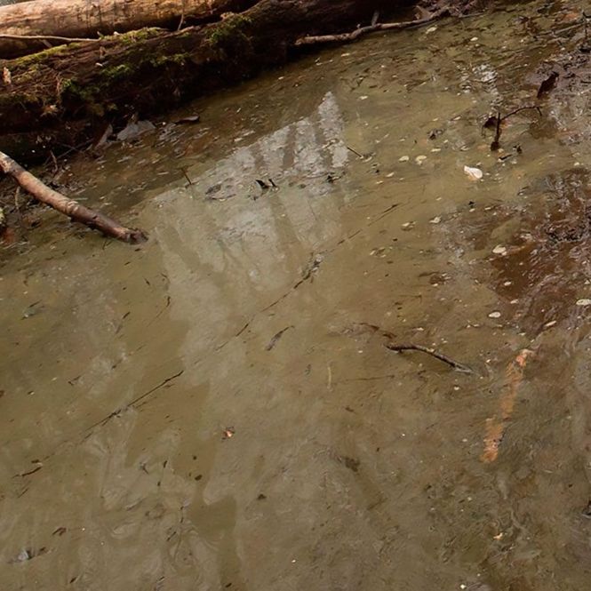 Main Image AK-Interactive Water Gel Swamp Green Acrylic, ...
